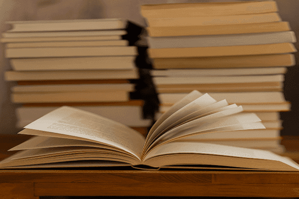 📚 Literature Review